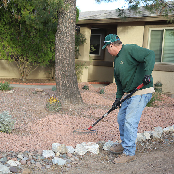 Tucson Landscaping Service