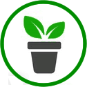 Tree & Plant Nursery in Tucson