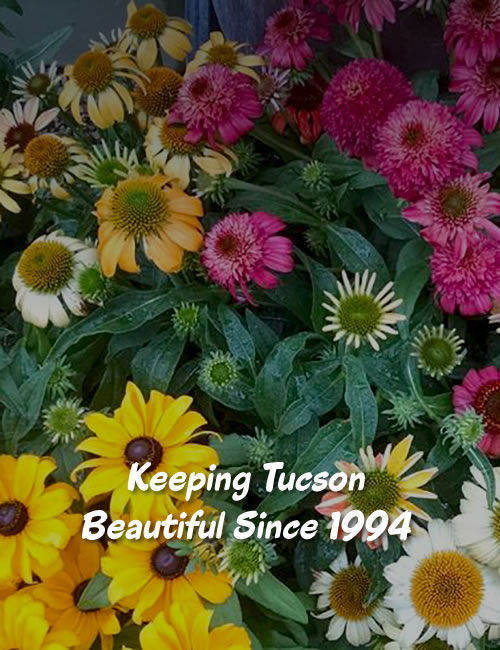 Tucson Garden Nursery