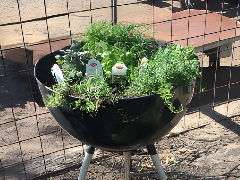 Plant a BBQ Garden