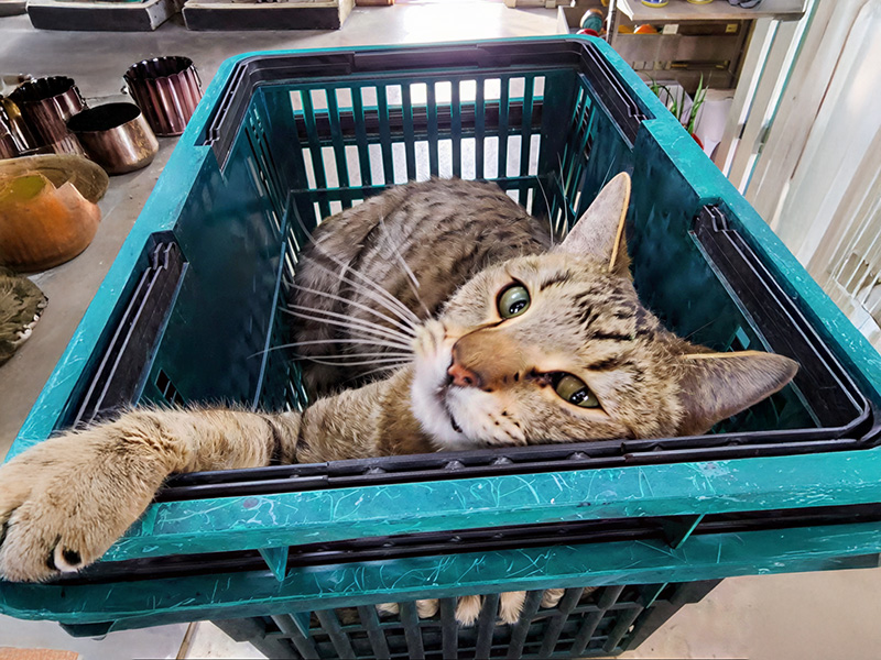 January 2026 Newsletter